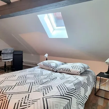 Apartment Duplex De L'arbre De La Liberte