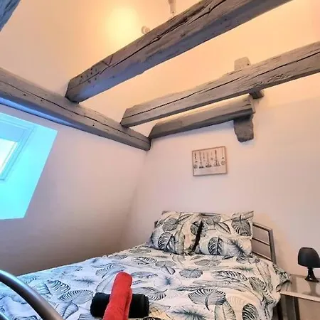 Apartment Duplex De L'arbre De La Liberte Guebwiller